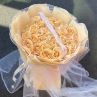 Ƽʻٵ